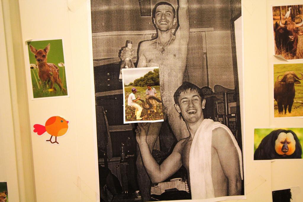Dbc Hostel Budapešť Pokoj fotografie